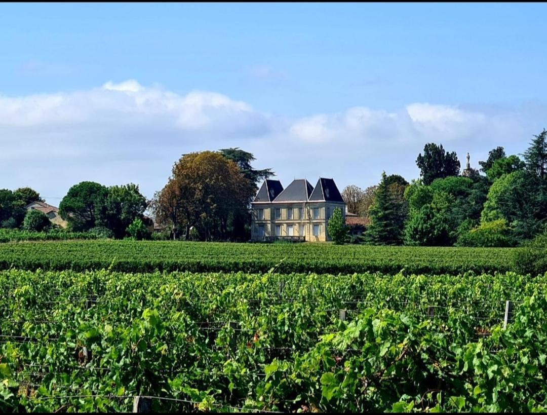 Chateau Tanesse De Tourny Bayon Exterior foto