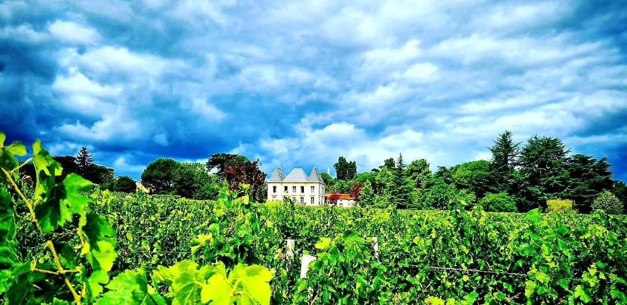 Chateau Tanesse De Tourny Bayon Exterior foto
